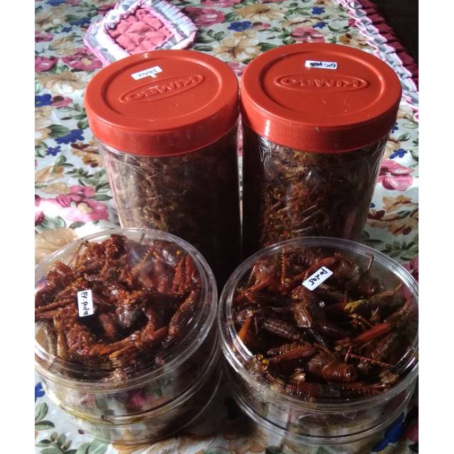 

Belalang goreng mantul,rasa bikin ketagihan...bisa chat wa di 085292107524