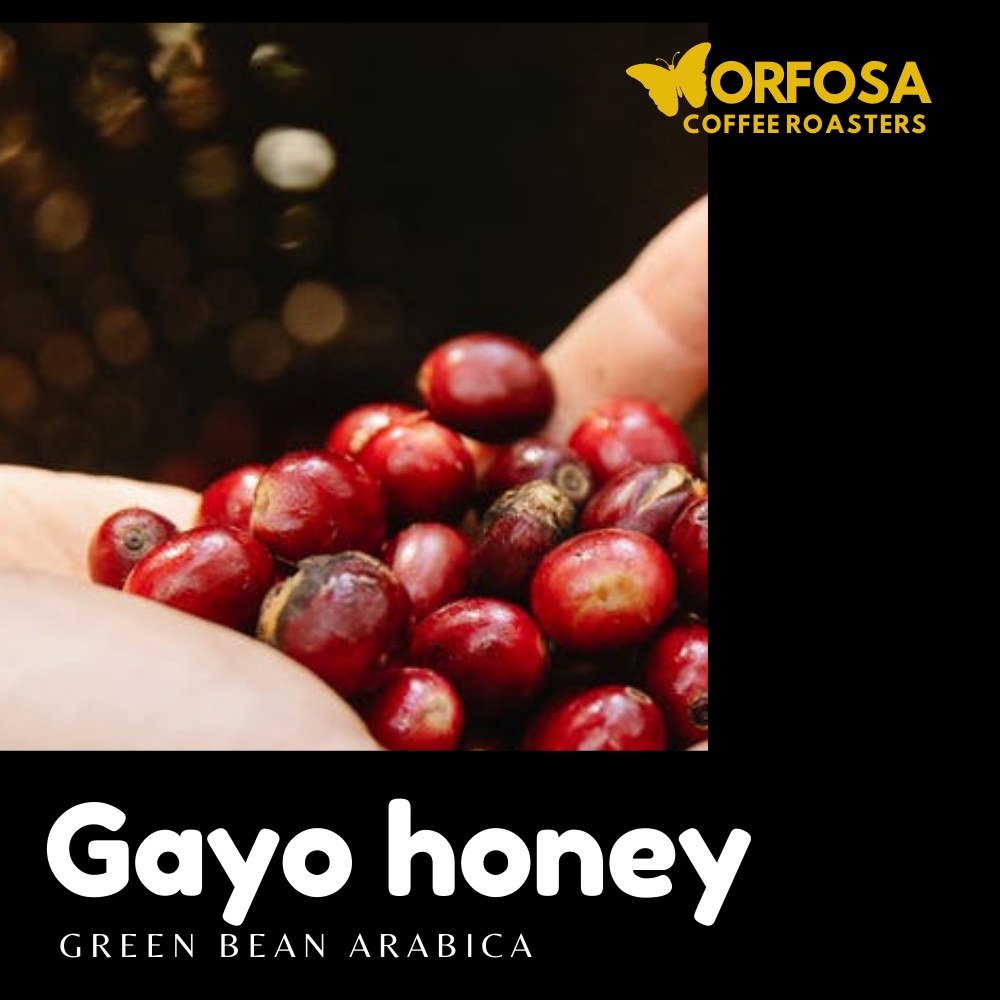 

MORFOSA COFFEE Green Bean Kopi Arabika Gayo Honey 500gr Biji Kopi Mentah Honey Gayo