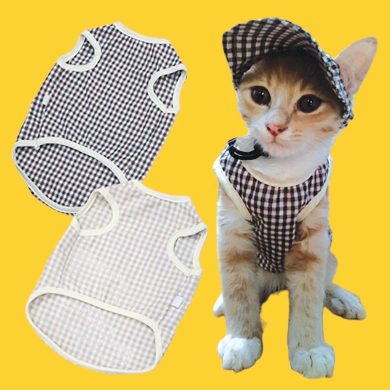 BAJU KOTAK - Baju Kucing Baju Kitten UKURAN XS Kaos Kucing Fashion Kucing Jaket Kucing Aksesoris Kucing