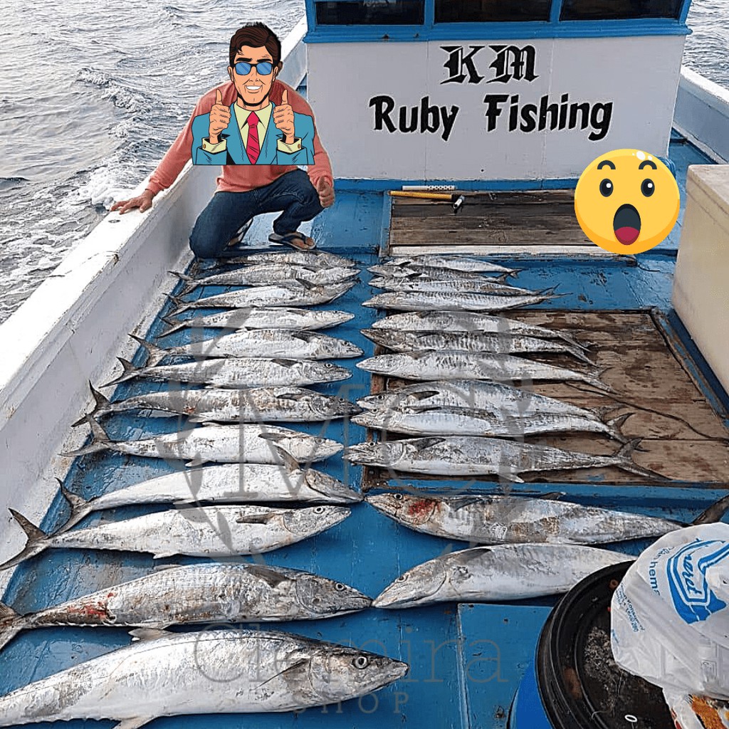 Konceran Tenggiri Barakuda / Rangkaian Kail Pancing Tenggiri Ring Bawah Cle Fishing