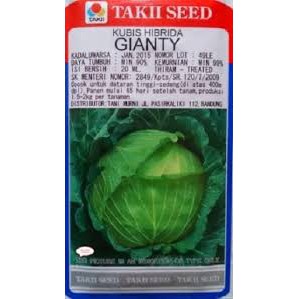 Bibit Kubis Takii Gianty - 20 ml