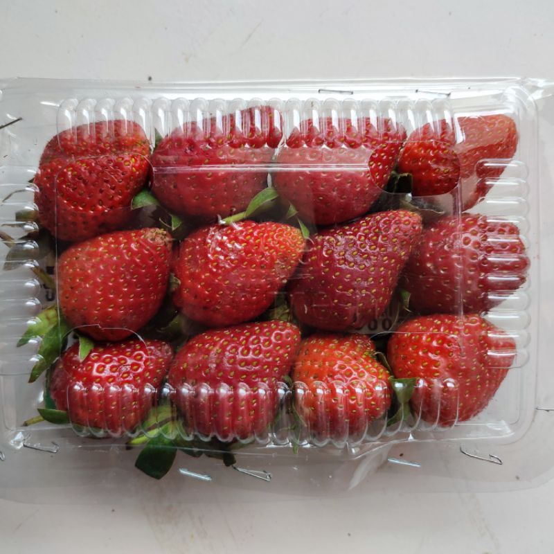 

Strawberry / Stroberi 1 pak