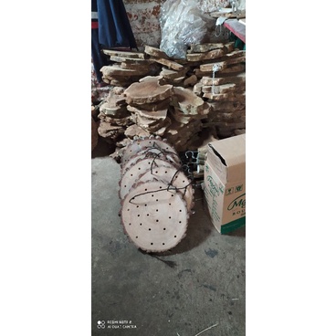 kayu Pinus papan bulat