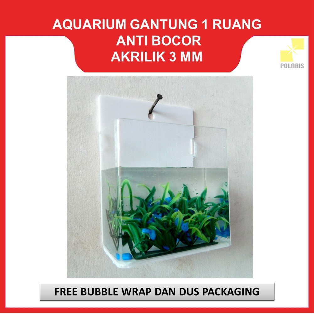 AKUARIUM CUPANG GANTUNG / AQUARIUM AKRILIK DINDING / SOLITER CUPANG AKRILIK GANTUNG