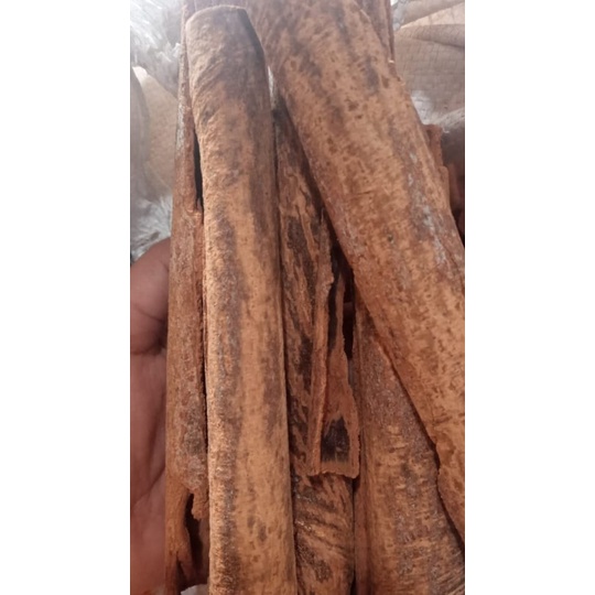 

Kayu Masoyi Asli Harum 500 g / KAYU MASOI / AIKORI REMPAH PAPUA / Mesoyi