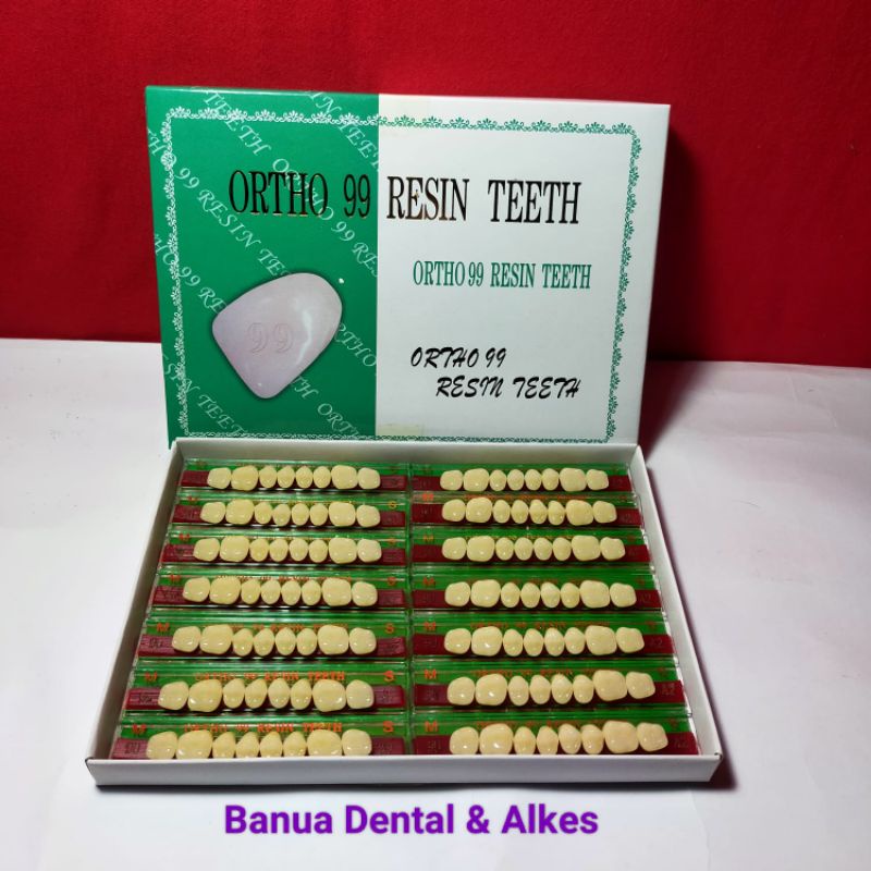 Gigi Ortho 99 geraham (posterior) adalah bahan untuk membuat gigi tiruan atau gigi palsu resin teeth dental