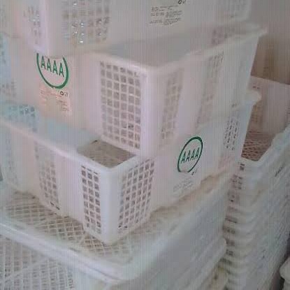 Keranjang Buah kotak Large plastik warna Putih