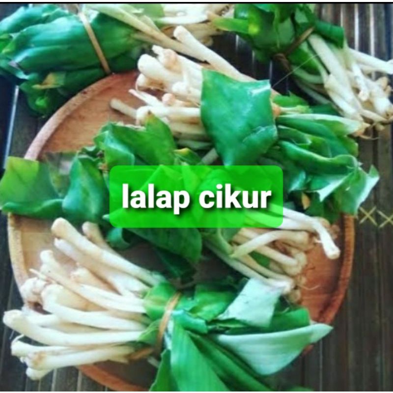 

lalap cikkur 1iket