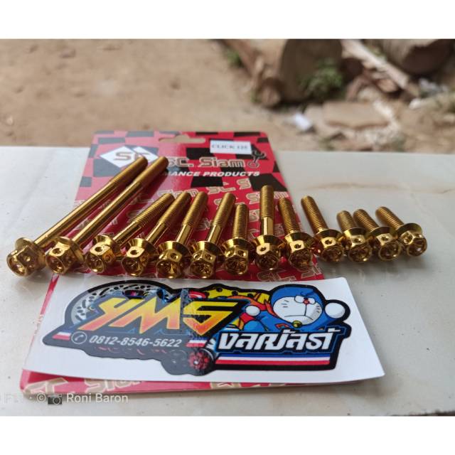 Probolt flower cvt vario 125/150
