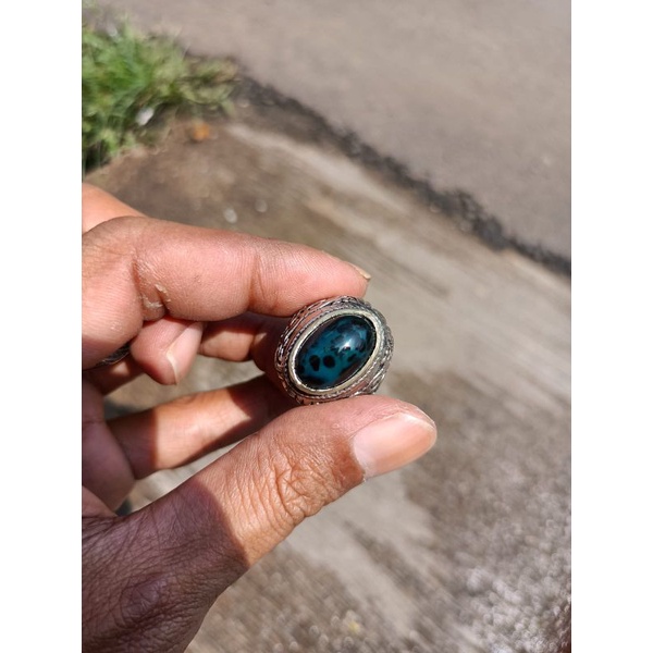 Bacan coklat totol