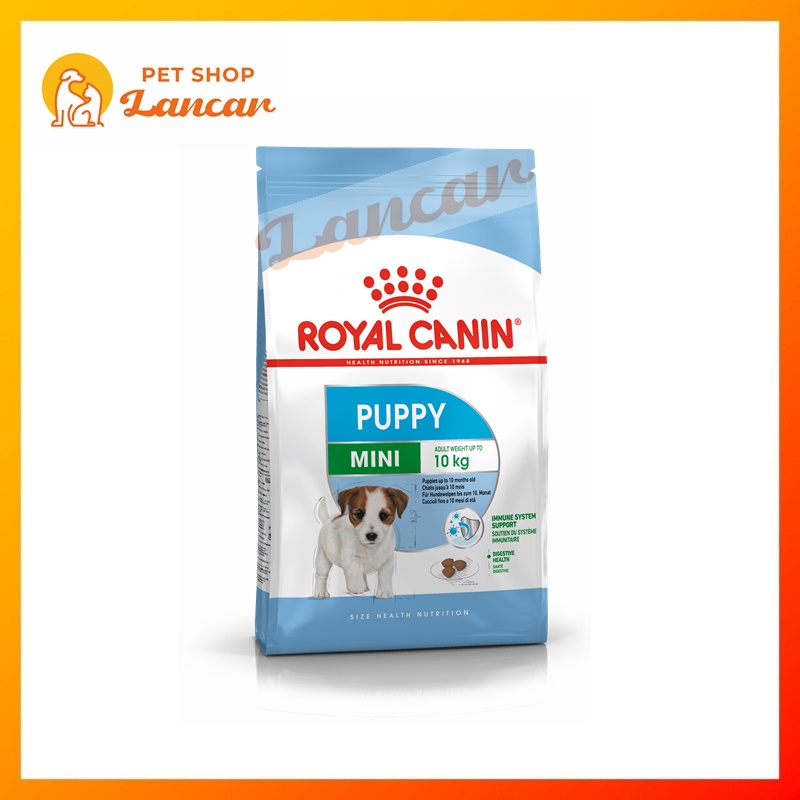 Royal Canin Mini Junior 2Kg - Makanan Anjing (Dog Food)