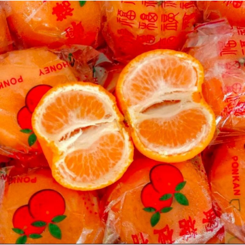 Buah Jeruk Ponkam Manis / 1Kg