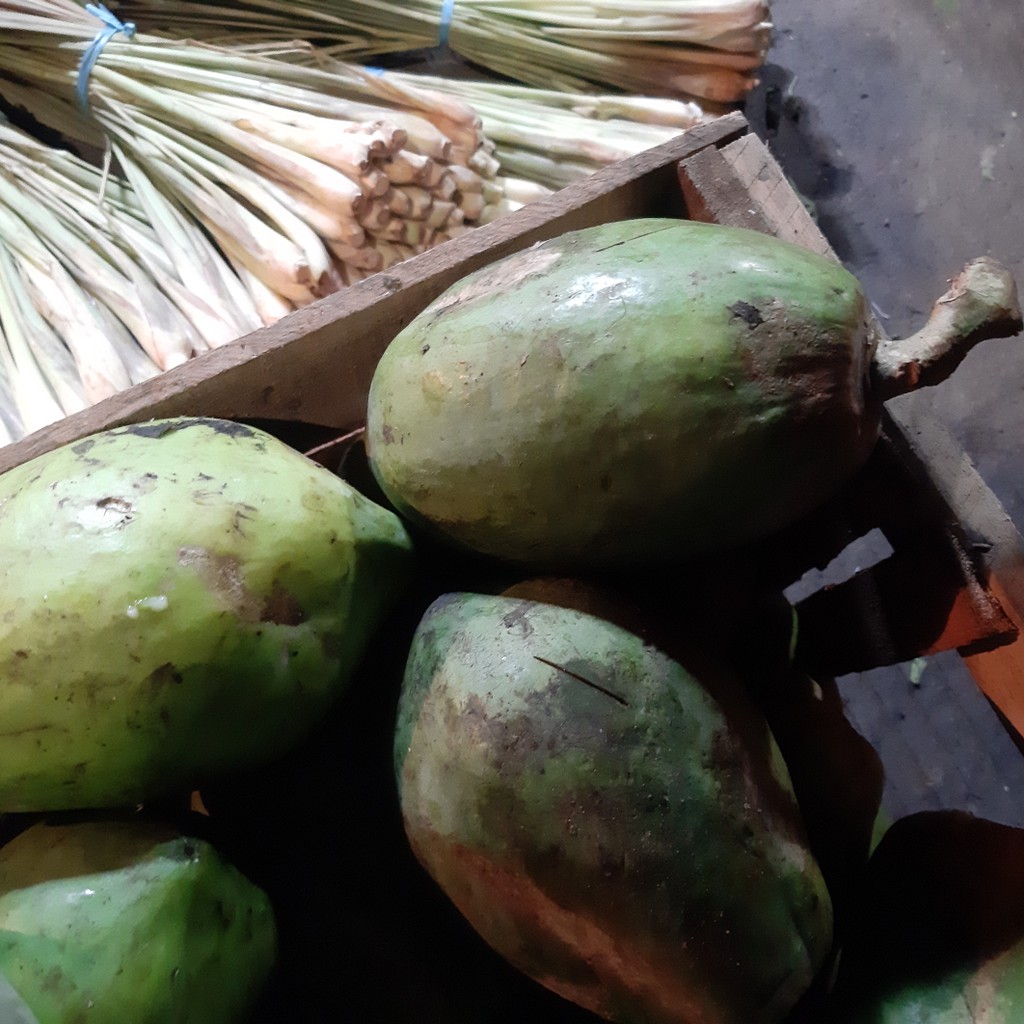 

Pepaya Mentah Sayur 1 pcs