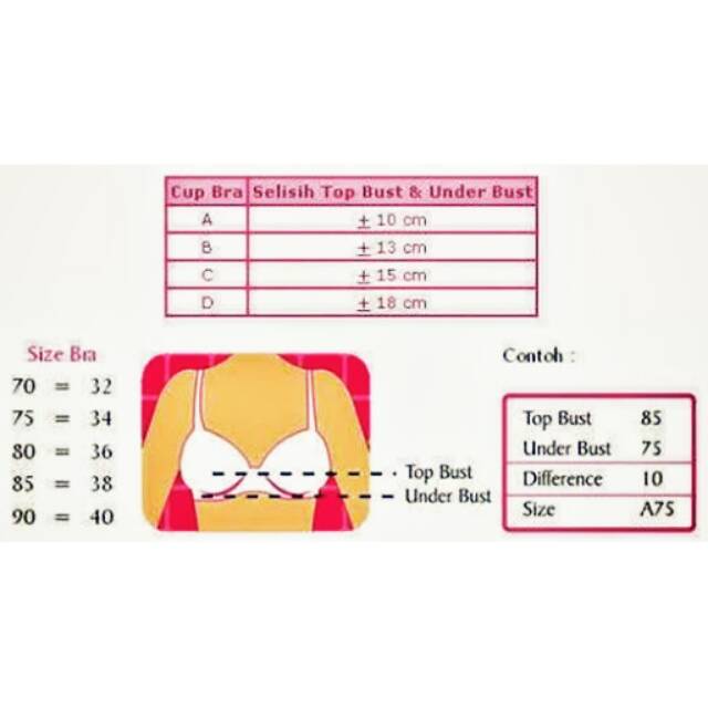 Jual Bra Size Charts Indonesiashopee Indonesia 