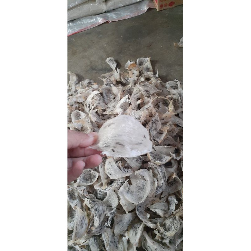 

Sarang Walet (original)