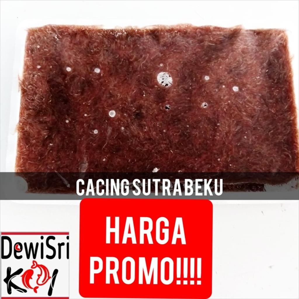 Cacing darah sutra beku Pakan Ikan blood worm