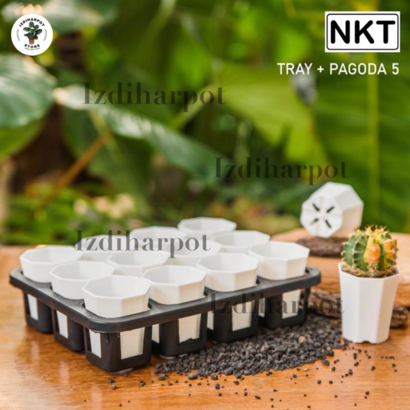 1 set Tray + POT BUNGA NKT PAGODA MINI 5CM PUTIH | tray semai bibit