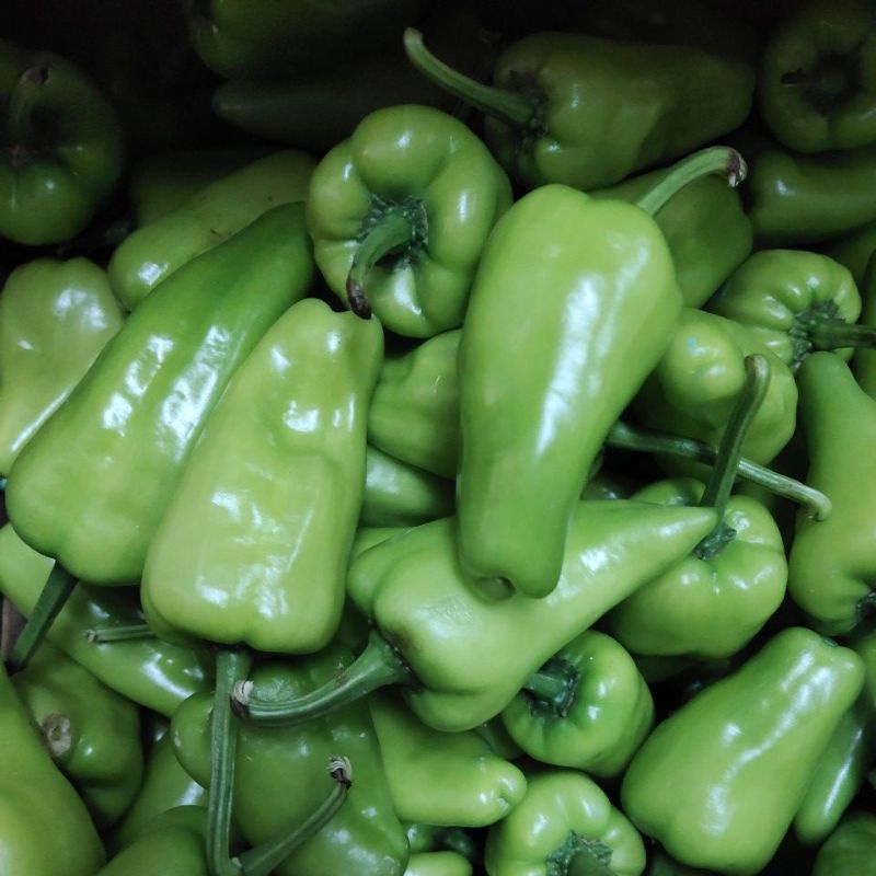 

Cabe hijau Kalimantan/ cabe kalimantan/cabe hijau