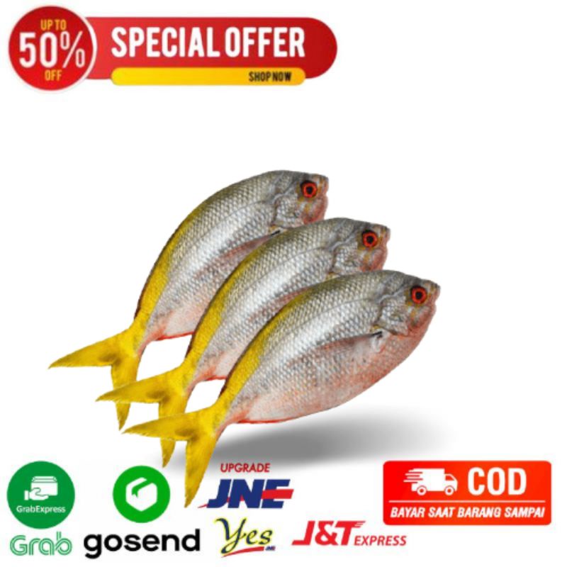 

ikan ekor kuning/ kerapu ekor kuning fresh segarmart bandung