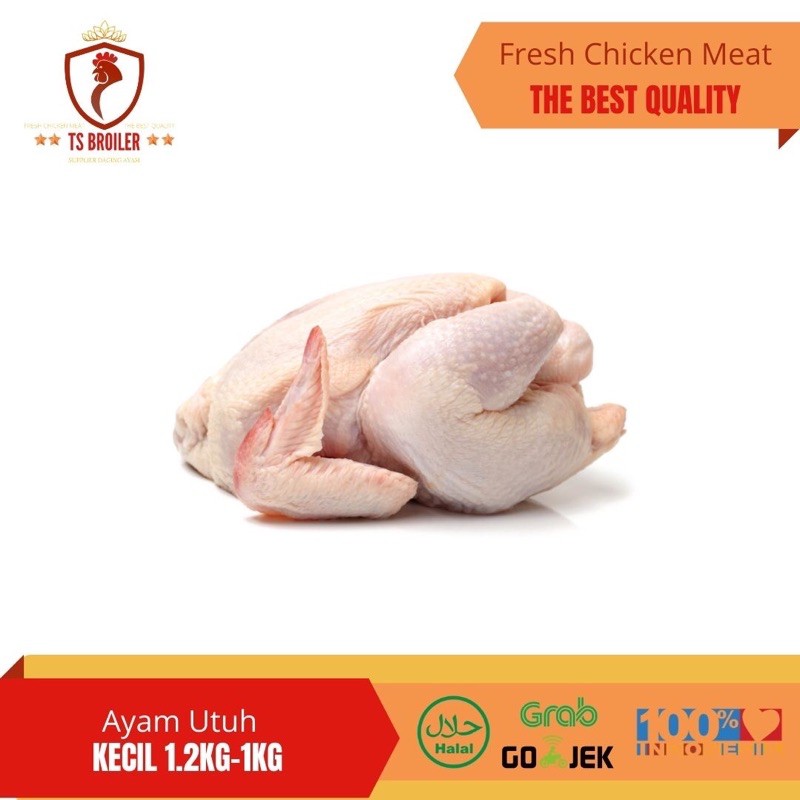

Daging Ayam Segar / Ayam Potong / Ayam Utuh / Ayam Karkas