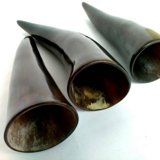 Kop bekam tradisional tanduk asli bukan alat bekam sammora