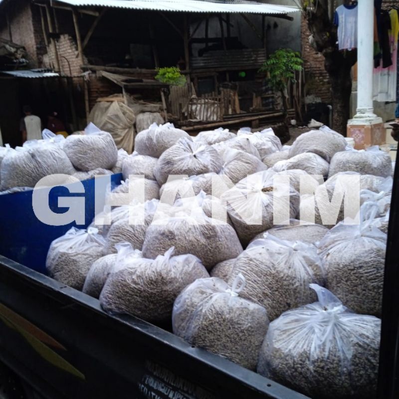 

Kupang Putih/Merah - Bersih - Siap Masak - Hasil Olah Laut - Viral