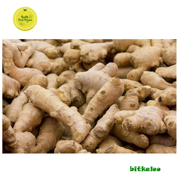 

Jahe Emprit Organik 500 gr