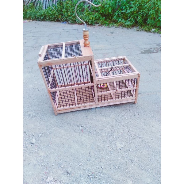 kandang burung jebakan burung kecil