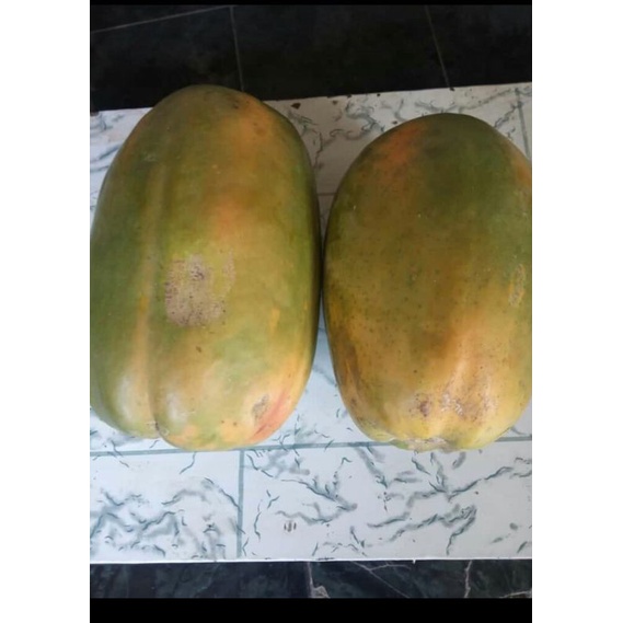 

PEPAYA CALIFORNIA organik