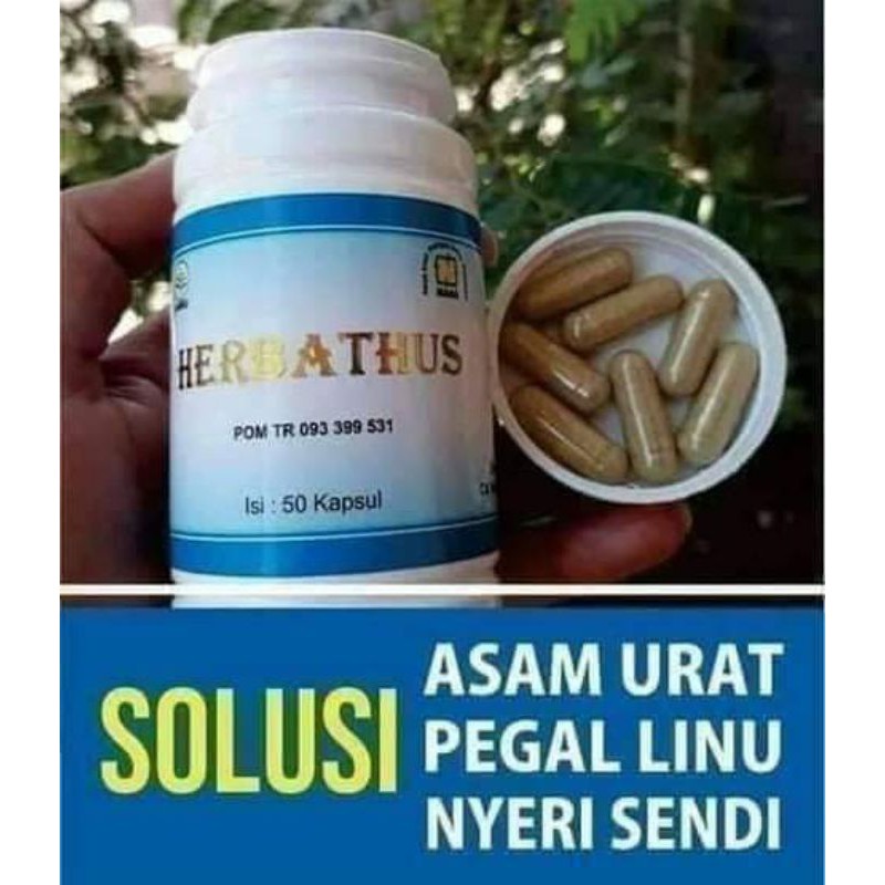 

terlaris herbatus mengobati penyakit asam urat