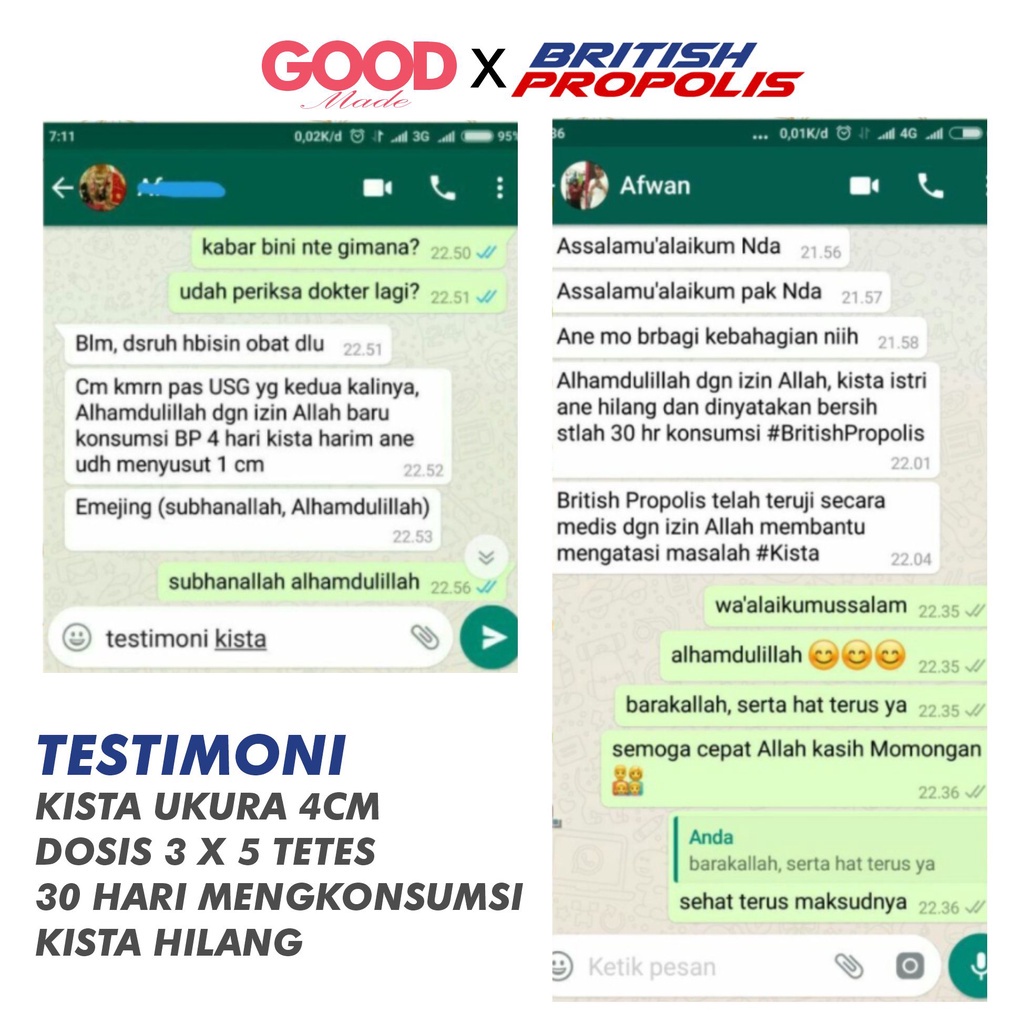 GOOD MADE - British Propolis | British Propolis Original 100% | Asli Obat Herbal Propolis Murni Mengatasi Diabetes Kangker Asamurat Kolestrol Rematik TBC Maag Lambung Jantung Darah Tinggi Tumor By Ippho Santosa Terlaris Termurah COD