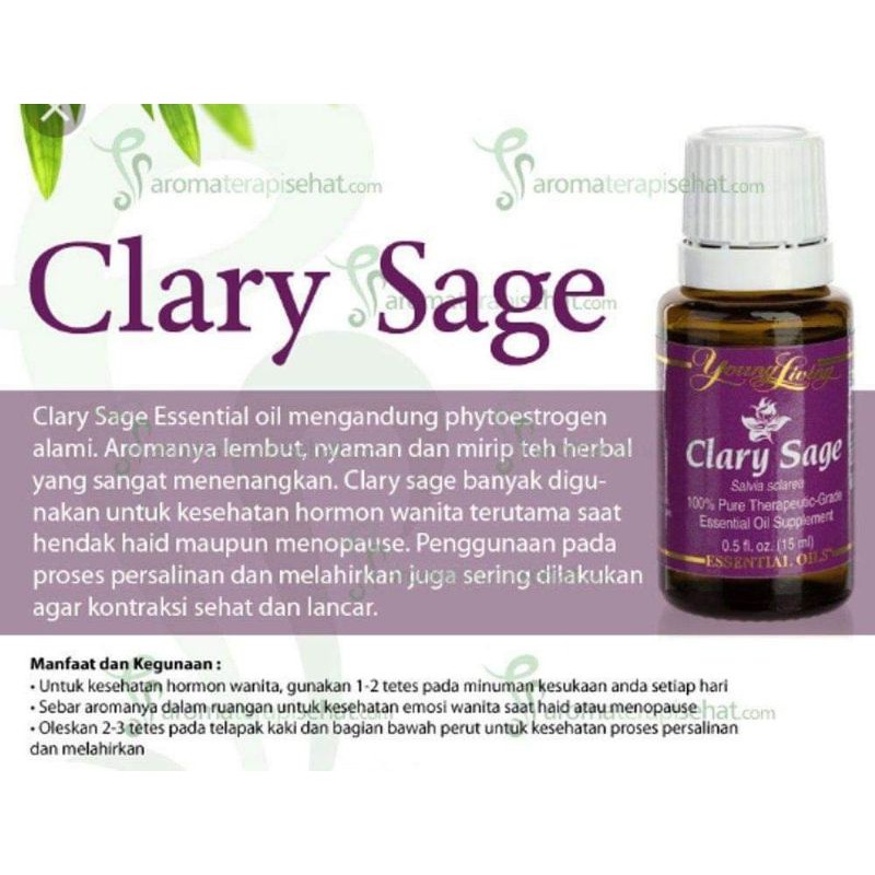 clary sage essential oil Young Living 15ml.