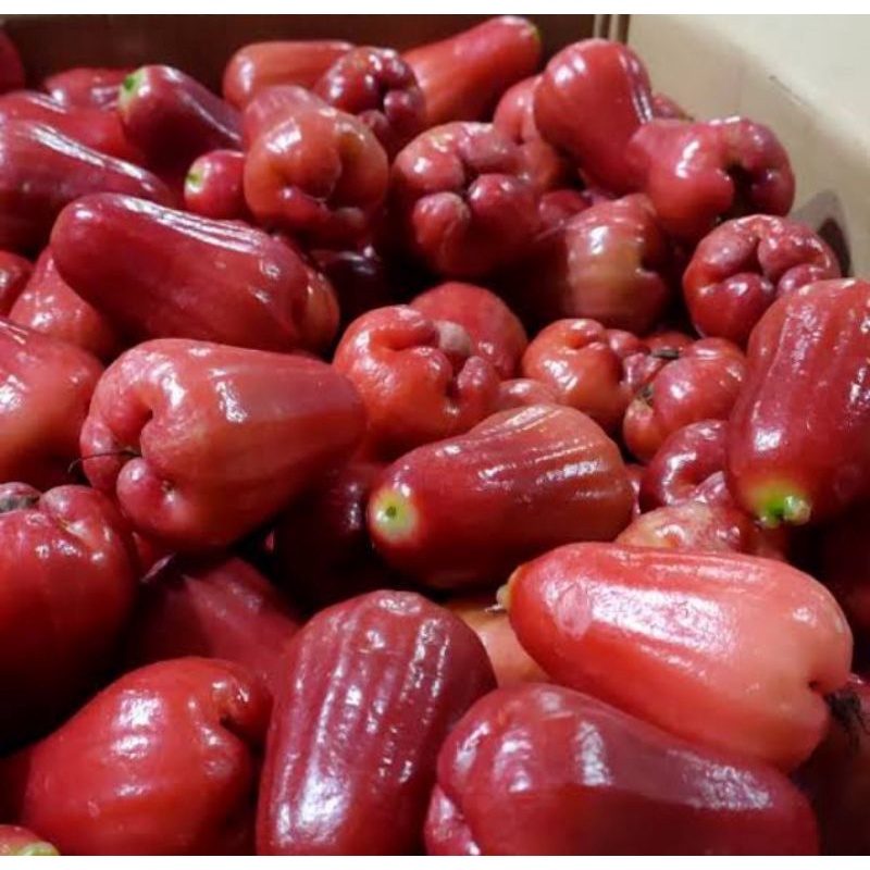 

Jambu air Citra 500Gr