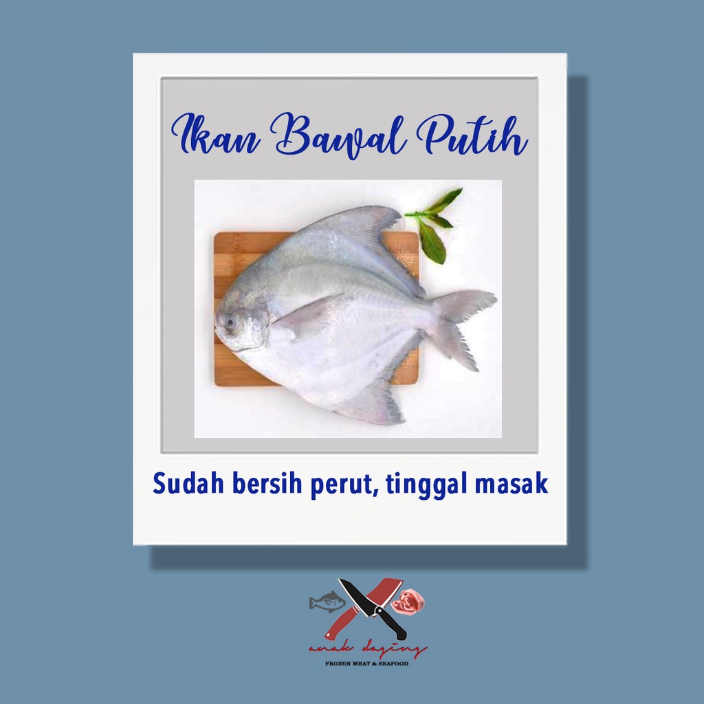 

Bawal Putih - Bersih Perut Premium Quality