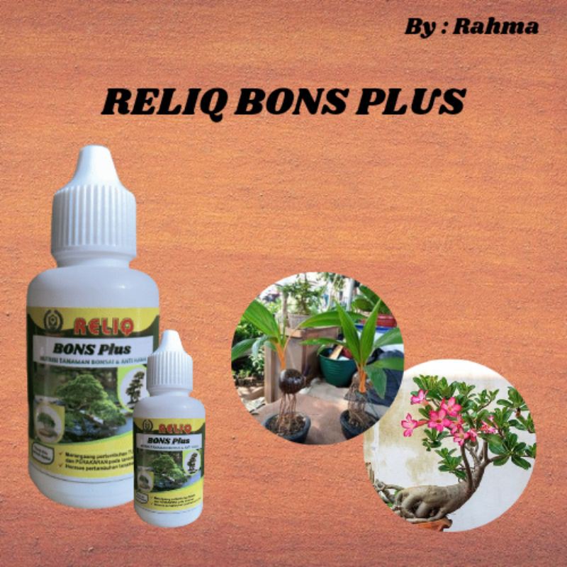 RELIQ Pupuk untuk bonsai serut, Hormon bonsai kelapa gading