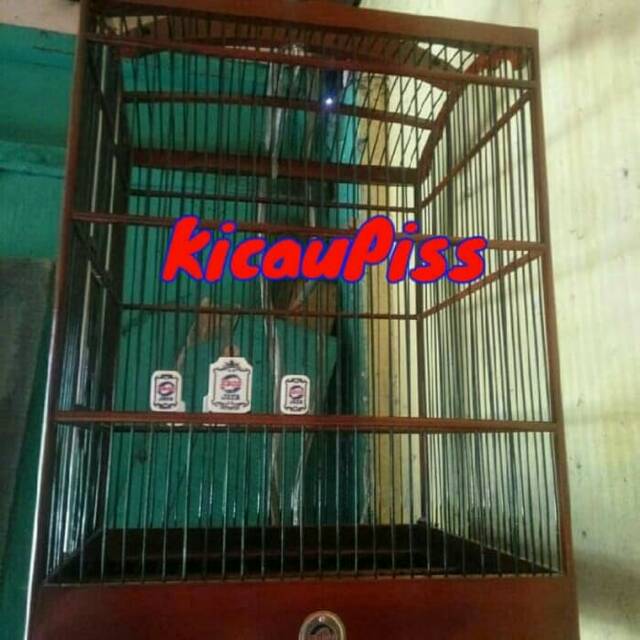 Kandang burung kotak merk ebod jaya no 1 dan 2