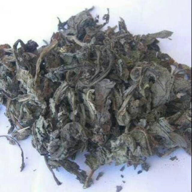 

Daun tempuyung kering kualitas pilihan 100gram