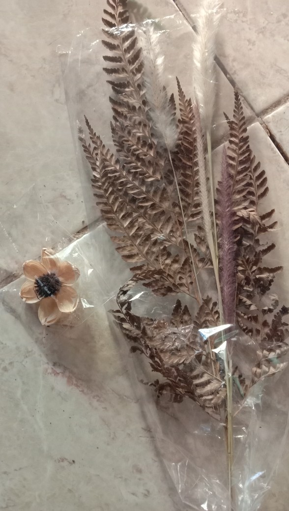 Bunga Kering Oson - Oson Violet