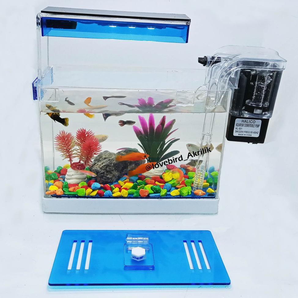 Aquarium Mini, Aquarium Akrilik, Aquarium Lengkap, Aquarium Ikan hias, Mini Aquarium, Aquarium kecil