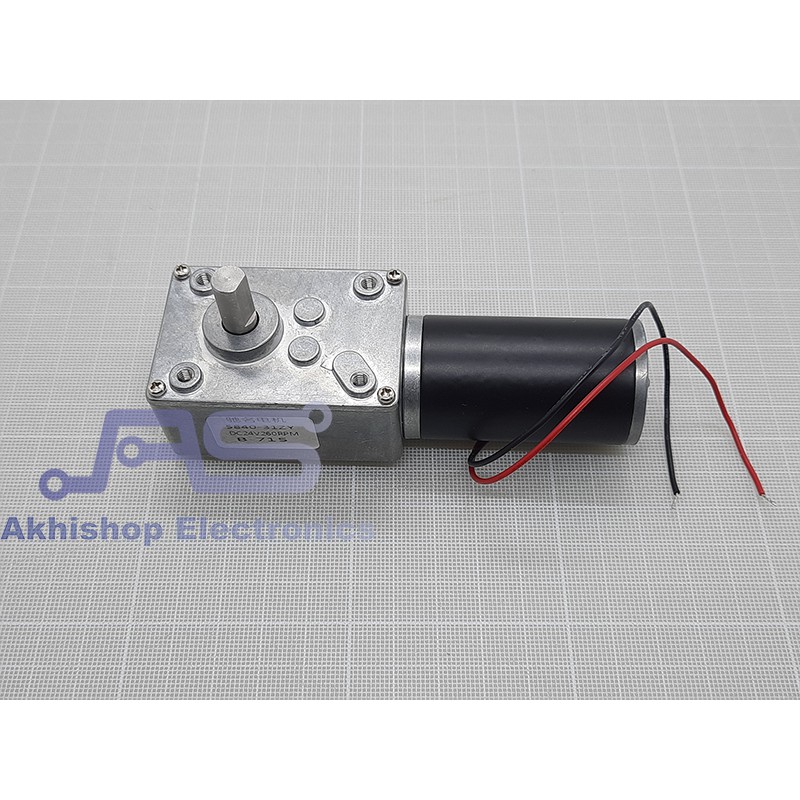 Permanent Magnet Worm Gear Motor DC 4058GW31ZY 24V 260RPM