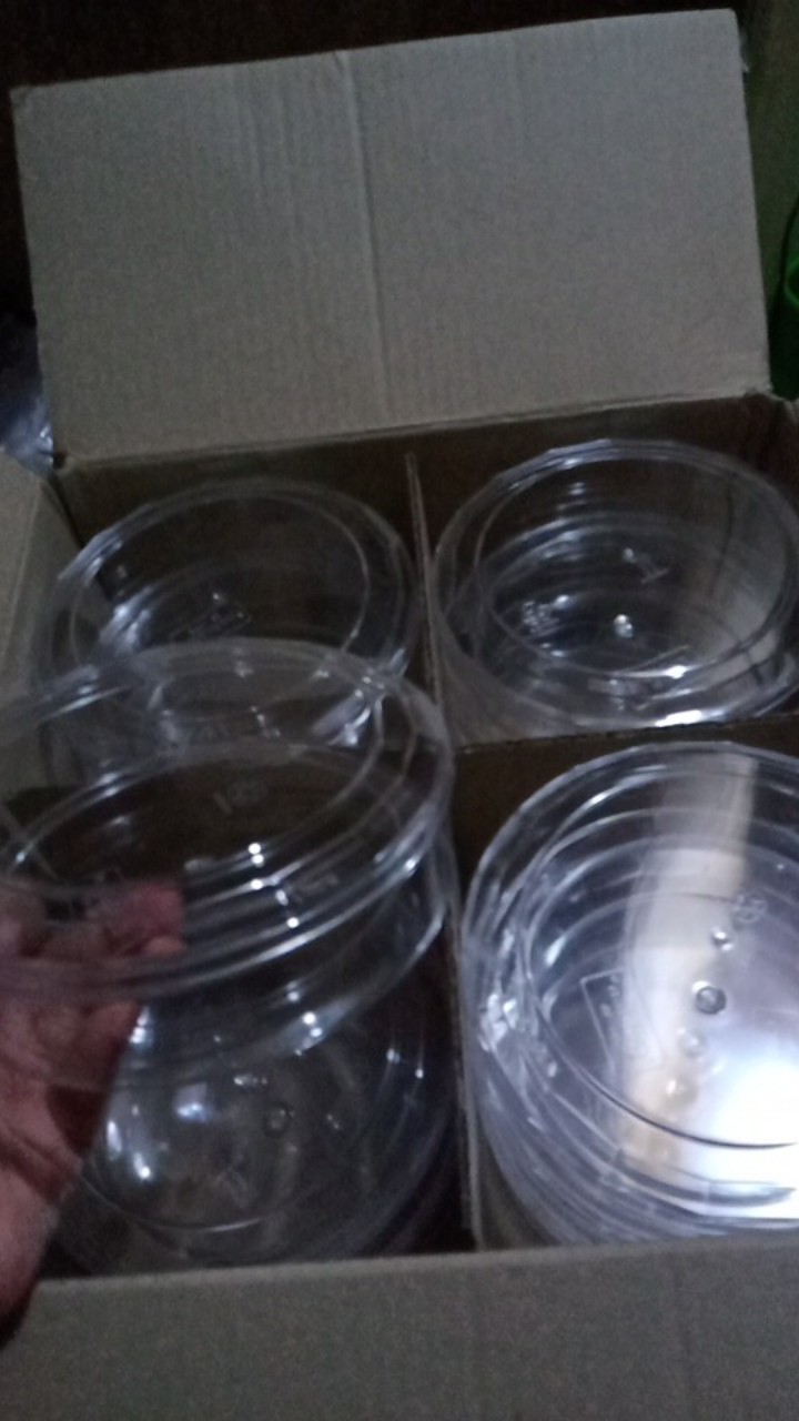 Stoples Kue Kering 500gr Gepeng - Golden 1206