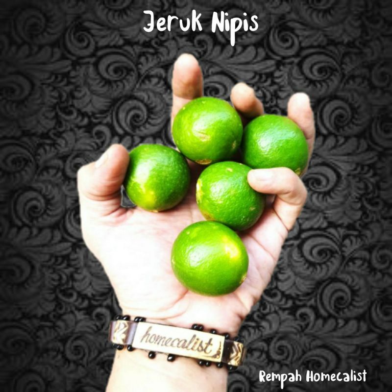 Jeruk Nipis 1kg - Jeruk Nipis Segar Peras