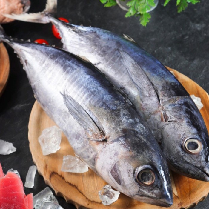 

IKAN TUNA / BABY TUNA SEGAR - 1000-1100gr