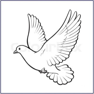 470 Koleksi Gambar Burung Hitam Putih Untuk Kolase HD