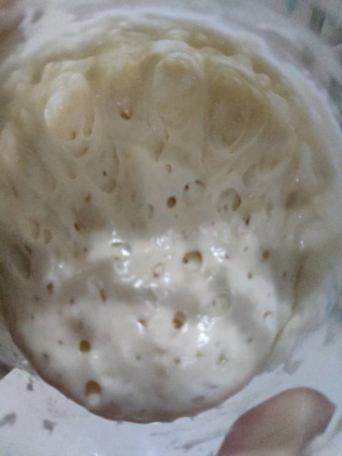 

ADY78 SOURDOUGH STARTER KERING/ Dried - Ragi Alami KERING