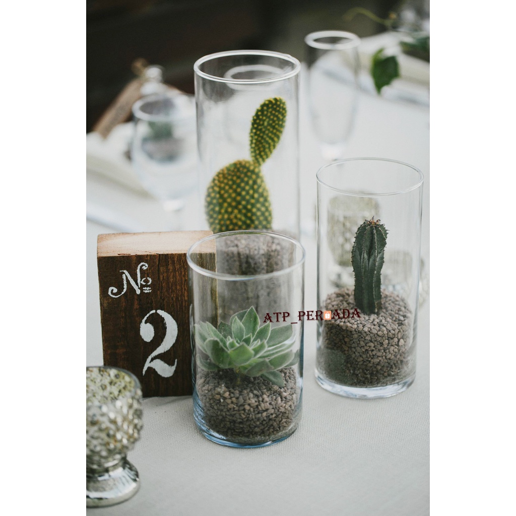Terrarium Kaktus Sukulen Hidup Mini Souvenir Tanaman Hias Bunga Cactus Sekulen Vas Gelas Kaca Sloki