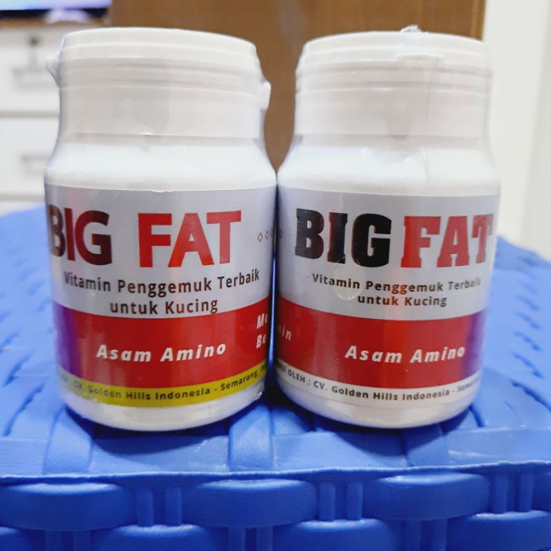 asam amino bigfat vitamin pengemuk kucinh