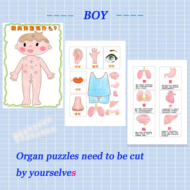 Puzzle Anak Model Organ Tubuh Manusia Anak Ipa Alat Mengajar Edukasi Belajar Dini