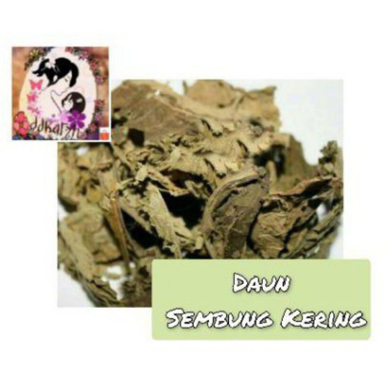 

Daun Sembung Kering 1kg