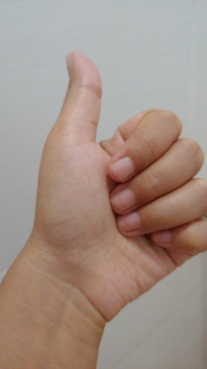 Tutup Galon Biru Anti Tumpah Praktis Efisien